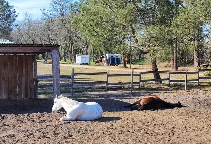 centre-equestre (1)