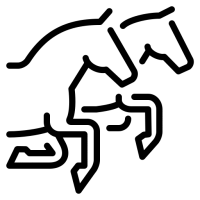 les-chevaux